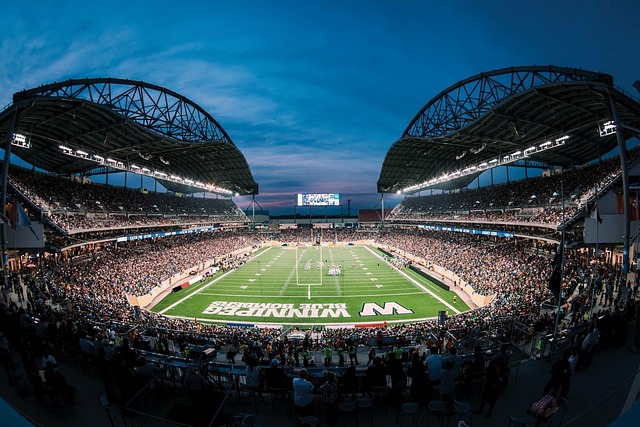 球员如维尼 球员如维尼