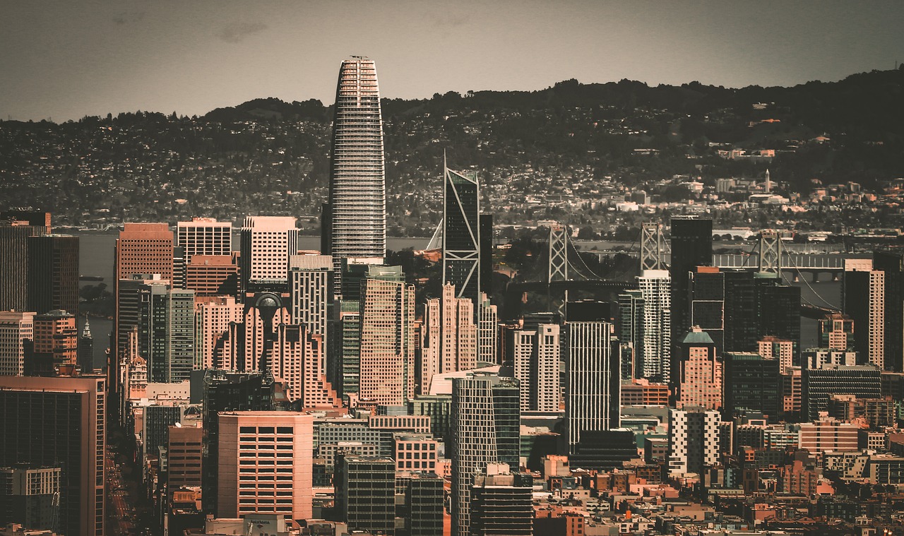 具洞见的篮 具洞见的篮