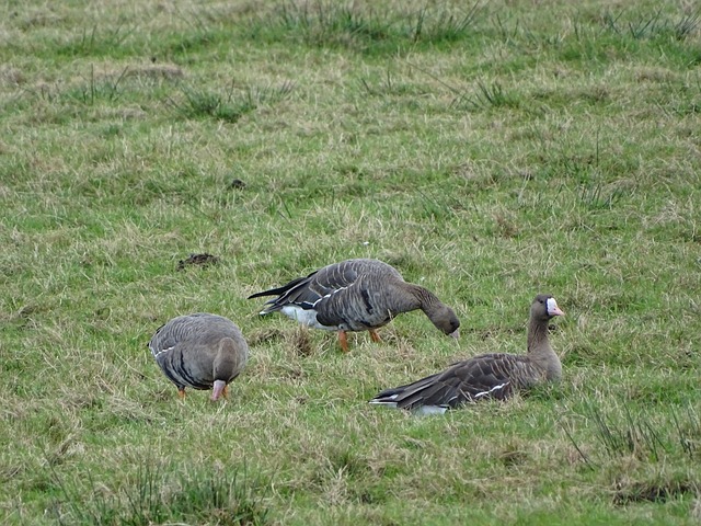 受关注的运 受关注的运