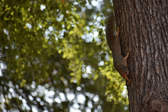 当一支队伍 当一支队伍