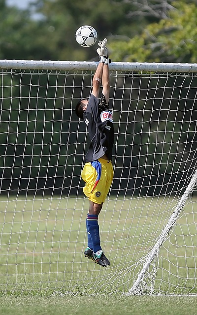 这也是对他 这也是对他