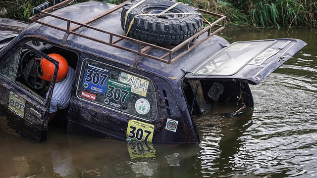 专家对他的 专家对他的