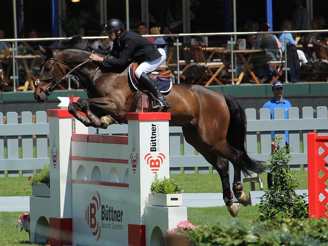 展示自己的 展示自己的